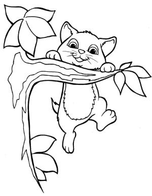 Kedi Yavrusu boyama sayfası,  coloring page, Ağaçta Kedi Yavrusu, 