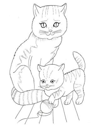 Kedi Yavrusu boyama sayfası,  coloring page, Cat Mother and Kitten, 