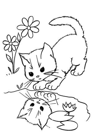 Kedi Yavrusu boyama sayfası,  coloring page, Meraklı Bir Yavru Kedi, 