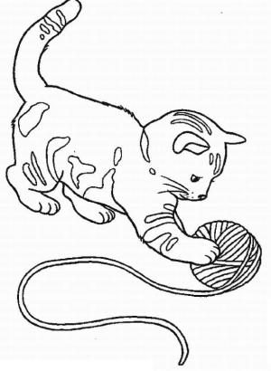 Kedi Yavrusu boyama sayfası,  coloring page, Meraklı Yavru Kedi, 