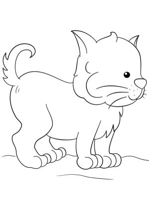 Kedi Yavrusu boyama sayfası,  coloring page, Lovely Kitten, 