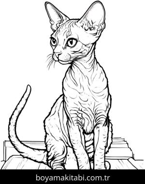 Kedi boyama sayfası, Cat coloring page, , 9)