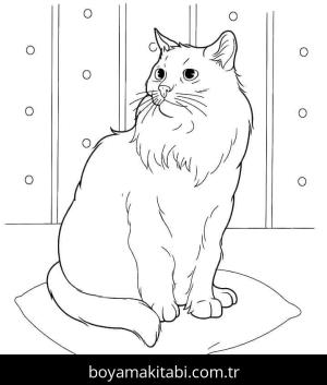 Kedi boyama sayfası – okul öncesi, evde etkinlik