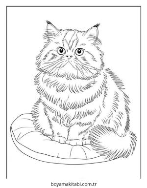 Kedi boyama sayfası – yaratıcılığı geliştirir, keyifli zaman