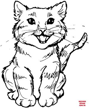 Kedi boyama sayfası, Cat coloring page, , Cats Meowing Kitten