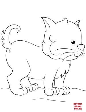 Kedi boyama sayfası, Cat coloring page, , Cats Lovely Kitten