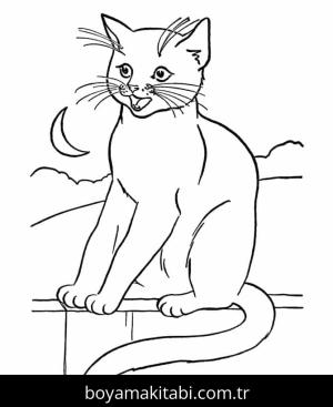 Kedi boyama sayfası – evde etkinlik, ücretsiz yazdır