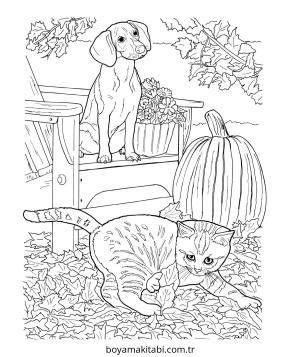 Kedi boyama sayfası – boyama çalışması, yaratıcılığı geliştirir