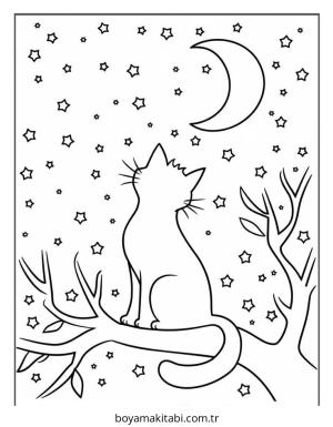 Kedi boyama sayfası – keyifli zaman, renkli çizimler