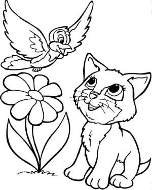 Kedi boyama sayfası, Cat coloring page, Kuş Ve Kedi, 