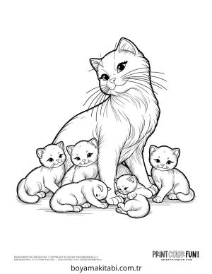 Kedi boyama sayfası – keyifli zaman, renkli çizimler