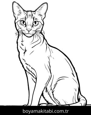 Kedi boyama sayfası, Cat coloring page, , 5)
