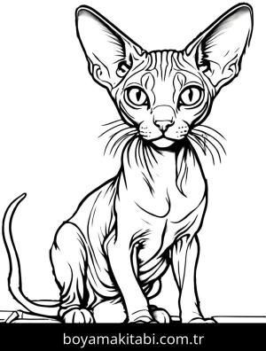 Kedi boyama sayfası, Cat coloring page, , 15)