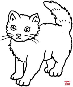 Kedi boyama sayfası, Cat coloring page, , Cats Cat