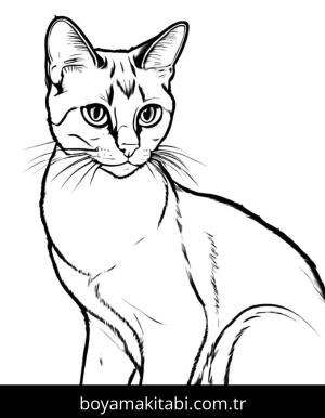 Kedi boyama sayfası, Cat coloring page, , 7)