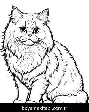 Kedi boyama sayfası, Cat coloring page, , 23)