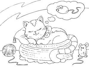 Kedi boyama sayfası, Cat coloring page, Kedi Rüya, 