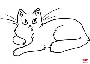 Kedi boyama sayfası, Cat coloring page, , Cats Grumpy Cat