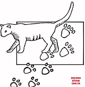 Kedi boyama sayfası, Cat coloring page, , Cats Paw Print