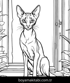 Kedi boyama sayfası, Cat coloring page, , 34)