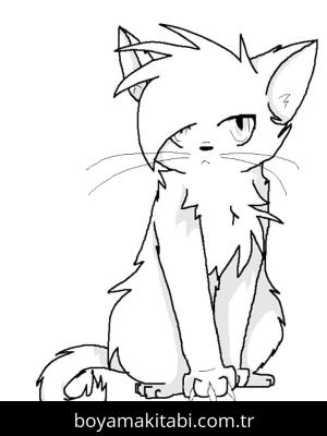 Kedi Boyama