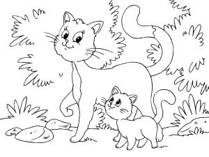 Kedi boyama sayfası, Cat coloring page, Kedi ve Kedi Tavrusu, 