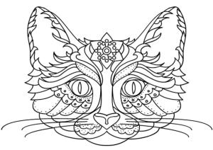 Kedi boyama sayfası, Cat coloring page, Özel Kedi Yüzü, 