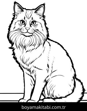 Kedi boyama sayfası, Cat coloring page, , 8)