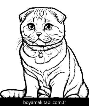 Kedi boyama sayfası, Cat coloring page, , 28)