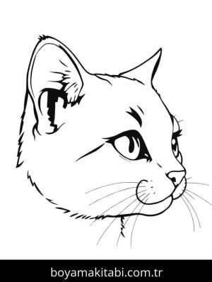 Kedi boyama sayfası, Cat coloring page, , 16)