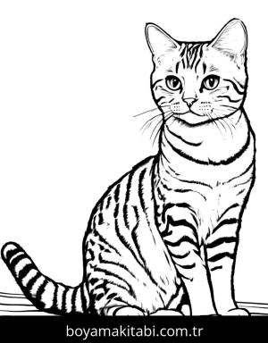 Kedi boyama sayfası, Cat coloring page, , 18)
