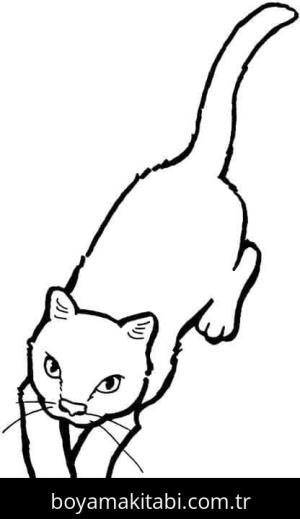 Kedi boyama sayfası – yaratıcılığı geliştirir, keyifli zaman