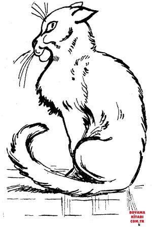 Kedi boyama sayfası, Cat coloring page, , Cats Cat