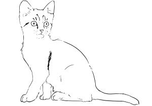 Kedi boyama sayfası, Cat coloring page, , Cats Kitten