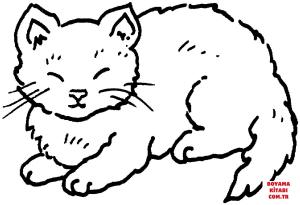 Kedi boyama sayfası, Cat coloring page, , Cats Cat