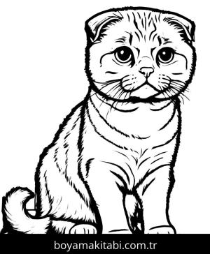 Kedi boyama sayfası, Cat coloring page, , 39)
