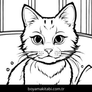 Kedi boyama sayfası, Cat coloring page, , 35)