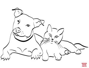 Kedi boyama sayfası, Cat coloring page, , Cats Dog And Cat