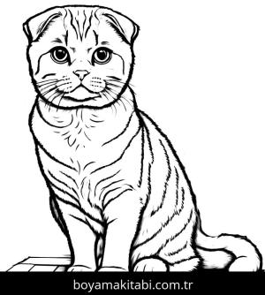 Kedi boyama sayfası, Cat coloring page, , 6)