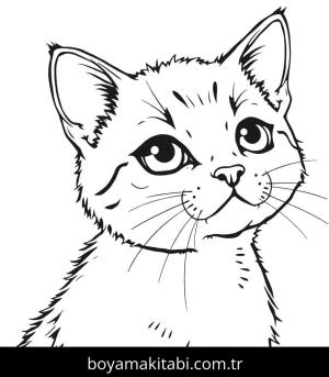 Kedi boyama sayfası, Cat coloring page, , 37)