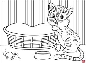 Kedi boyama sayfası, Cat coloring page, , Cats Cat