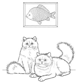 Kedi boyama sayfası, Cat coloring page, , Cats Colorpoint