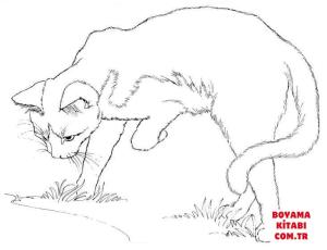 Kedi boyama sayfası, Cat coloring page, , Cats Cat Watching Himself In A Puddle