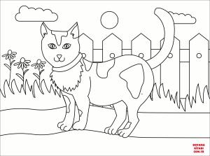 Kedi boyama sayfası, Cat coloring page, , Cats Cat