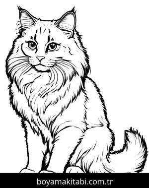 Kedi boyama sayfası, Cat coloring page, , 3)