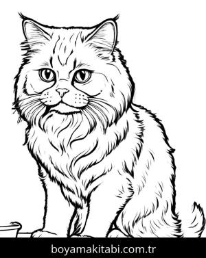 Kedi boyama sayfası, Cat coloring page, , 10)