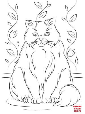 Kedi boyama sayfası, Cat coloring page, , Cats Himalayan Cat