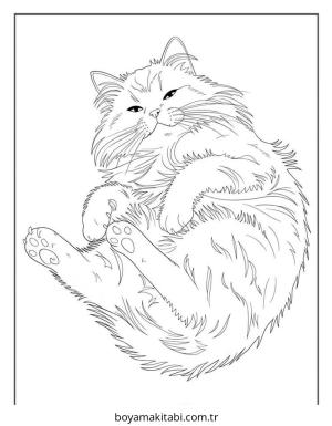 Kedi boyama sayfası – boyama etkinliği, çocuk aktivitesi
