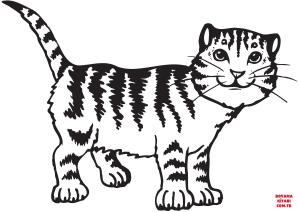 Kedi boyama sayfası, Cat coloring page, , Cats Cat