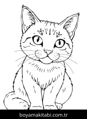 Kedi boyama sayfası, Cat coloring page, , 1)